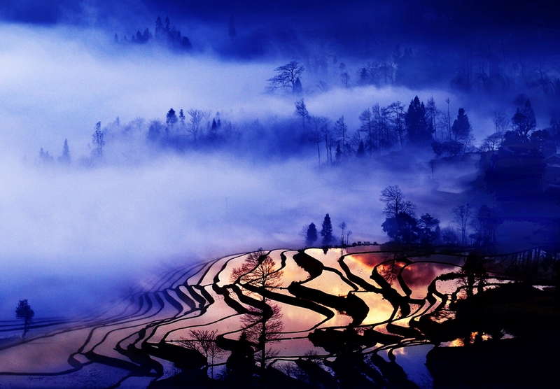 649 - MORNING SUNLIGHT - TANG ZHIMING - china.jpg